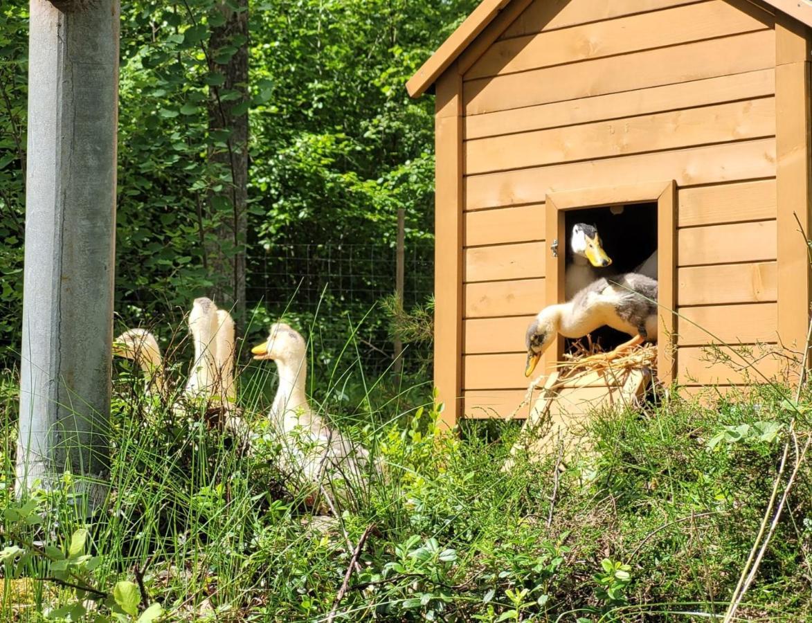 山林小屋 Bergakungen Stugby Osby (Skane)