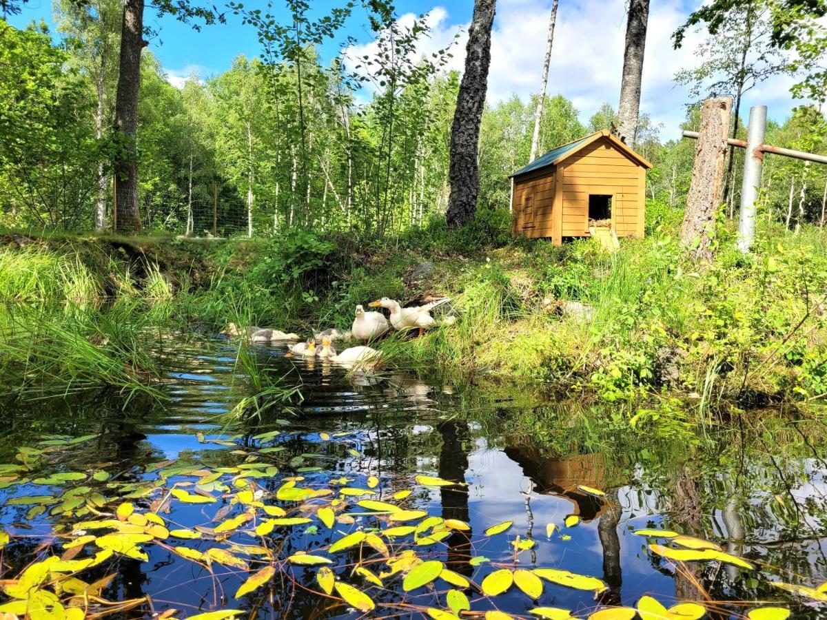 山林小屋 Bergakungen Stugby *