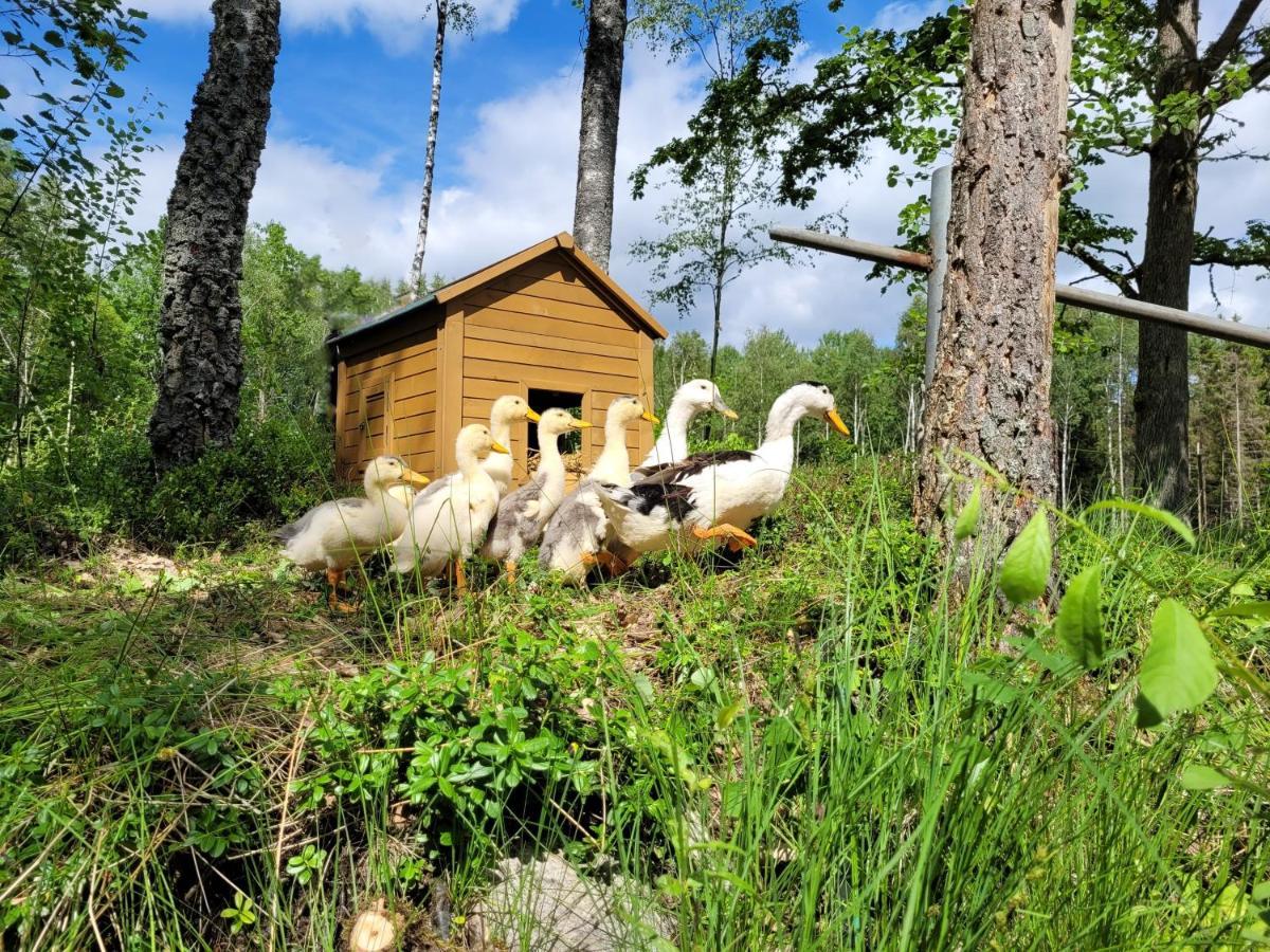 Bergakungen Stugby